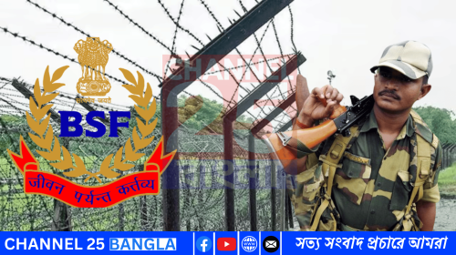 দুই বাংলাদেশিকে হত্যা করে নদীতে ফেলার রেশ কাটতে না কাটতেই সীমান্তে বিএসএফের গুলিতে মৃত্যু